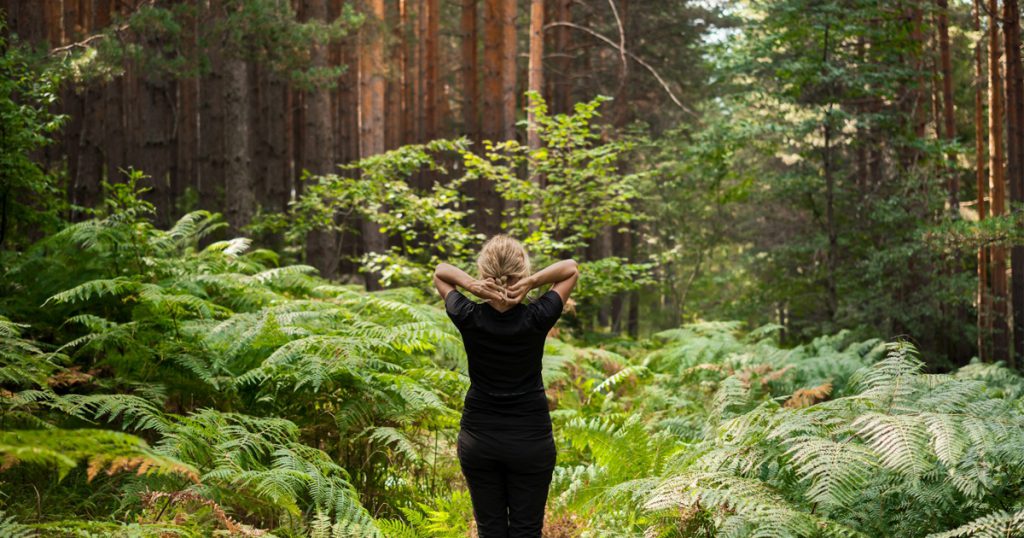 regaining clarity in divorce