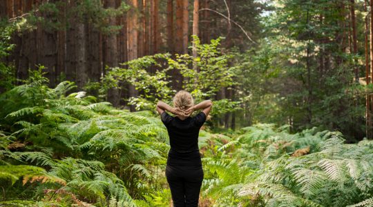 regaining clarity in divorce